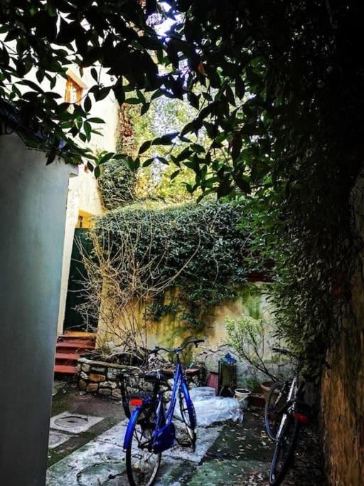 Florentine Style In San Frediano Appartamento *